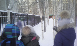 Помогли птицам